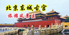 小骚宝贝+屁股撅起来视频中国北京-东城古宫旅游风景区